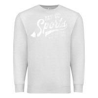 Oatmeal Heather Yay Go Sports Vintage Funny Sports Premium Sweatshirt - ArtChic
