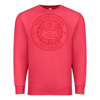 Cardinal Northeastern University Premium Sweatshirt - ArtChic
