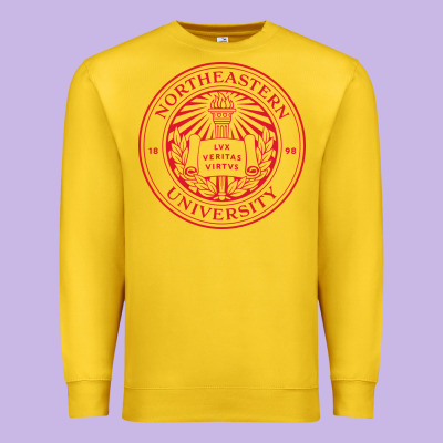 Northeastern University Premium Sweatshirt Designed By Artchic