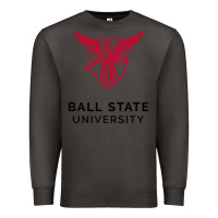 Smoke ball.state.university.merch Premium Sweatshirt - ArtChic