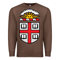 Chestnut brown university Premium Sweatshirt - StudioElite