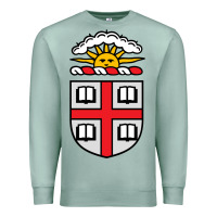 Seafoam brown university Premium Sweatshirt - StudioElite