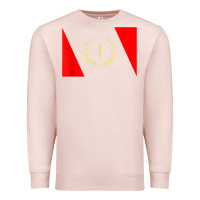 Pale Pink african american heritage flag 1967 black history copy Premium Sweatshirt - StudioElite