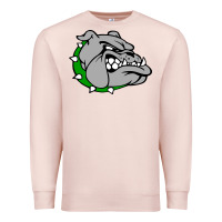 Pale Pink ashville high school, ashville bulldogs Premium Sweatshirt - PixelFlow