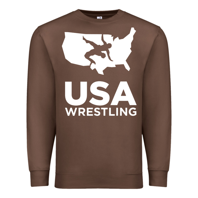 Usa Power United States Premium Sweatshirt by PixelFlow | Teevron