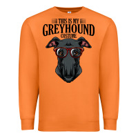 Carrot greyhound t  shirt greyhound t  shirt (3) Premium Sweatshirt - PixelFlow