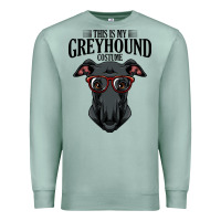 Seafoam greyhound t  shirt greyhound t  shirt (3) Premium Sweatshirt - PixelFlow