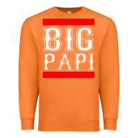 Carrot big papi Premium Sweatshirt - PixelFlow