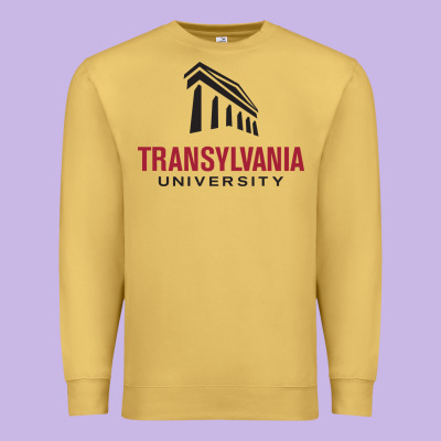 Transylvania University Premium Sweatshirt Designed By Pixelflow