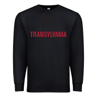 Black transylvania university Premium Sweatshirt - PixelFlow