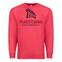 Cardinal transylvania university Premium Sweatshirt - PixelFlow