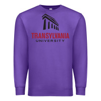 Purple transylvania university Premium Sweatshirt - PixelFlow