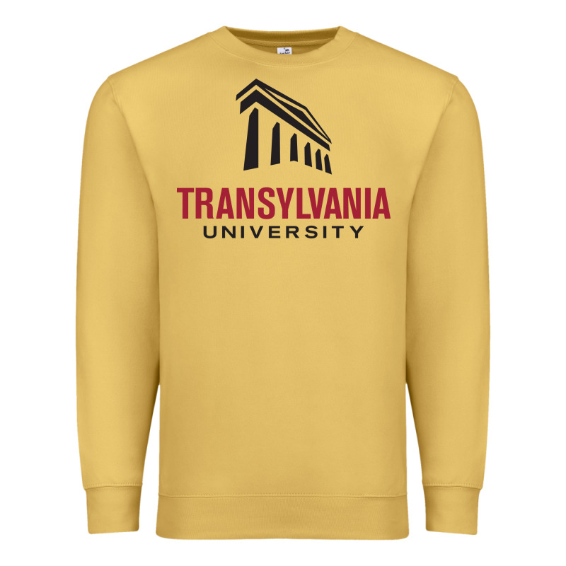 Transylvania University Premium Sweatshirt by PixelFlow | Teevron
