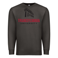 Smoke transylvania university Premium Sweatshirt - PixelFlow