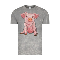 Cloud Rock sitting pig Vintage Tee - RanaPortraitStore