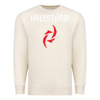 Sandshell halestorm black Premium Sweatshirt - SnappyArt