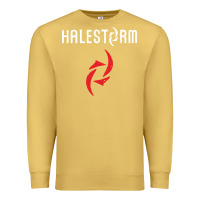 Antique Gold halestorm black Premium Sweatshirt - SnappyArt