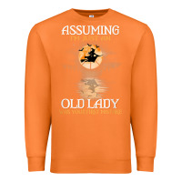 Carrot assuming i'm just an old lady was your first mistake witch Premium Sweatshirt - SnappyArt