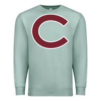 Seafoam colgate vintage Premium Sweatshirt - SnappyArt