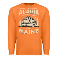 Carrot acadia national park maine nature hike outdoors vintage t shirt Premium Sweatshirt - ArtMosaic
