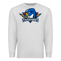 Dove Grey springfield thunderbirds Premium Sweatshirt - ArtMosaic