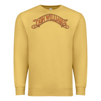Antique Gold Don Williams - American country singer Premium Sweatshirt - ArtMosaic