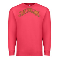 Cardinal Don Williams - American country singer Premium Sweatshirt - ArtMosaic