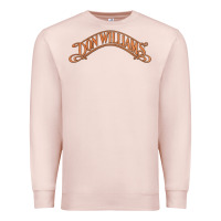 Pale Pink Don Williams - American country singer Premium Sweatshirt - ArtMosaic