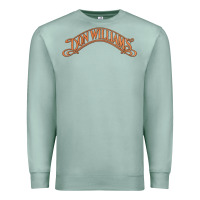 Seafoam Don Williams - American country singer Premium Sweatshirt - ArtMosaic