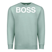 Seafoam boss premium Premium Sweatshirt - ArtMosaic