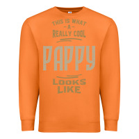 Carrot Really Cool Pappy Premium Sweatshirt - artisFamous
