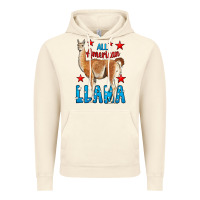 Vintage Artic All American Lama Vintage Hoodie - LillyAllenDesigns