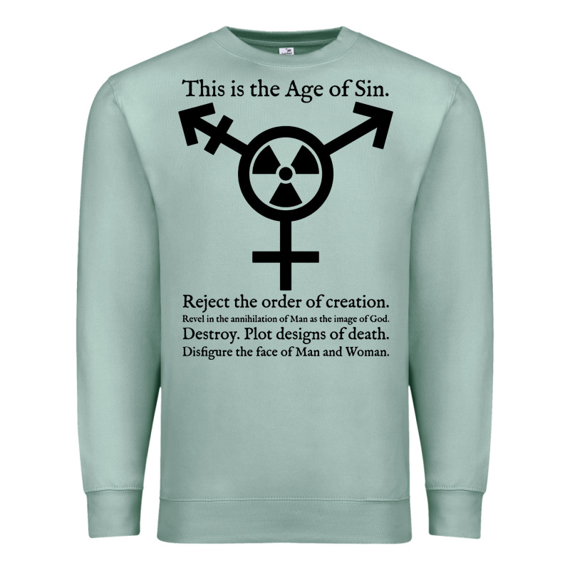 This Is The Age Of Sin   Transgender Symbol Premium Sweatshirt by artisFamous | Teevron