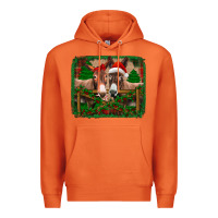 Carrot christmas donkeys Premium Hoodie - Jasminsmagicworld