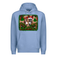 Colony Blue christmas donkeys Premium Hoodie - Jasminsmagicworld