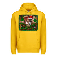 Lemon christmas donkeys Premium Hoodie - Jasminsmagicworld