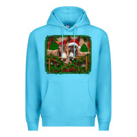 Ocean Blue christmas donkeys Premium Hoodie - Jasminsmagicworld