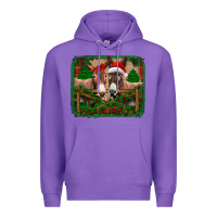 Christmas Donkeys Premium Hoodie | Teevron