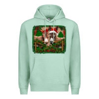 Seafoam christmas donkeys Premium Hoodie - Jasminsmagicworld