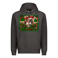 Smoke christmas donkeys Premium Hoodie - Jasminsmagicworld