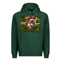 Sports Green christmas donkeys Premium Hoodie - Jasminsmagicworld