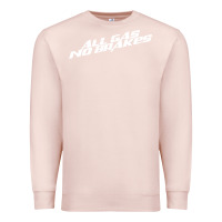 Pale Pink all gas no brakes for dark Premium Sweatshirt - artisFamous