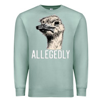 Seafoam letterkenny allegedly ostrich funny Premium Sweatshirt - artisFamous