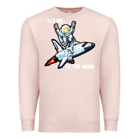 Pale Pink dogecoin hodl to the moon Premium Sweatshirt - artisFamous