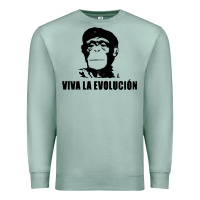 Seafoam viva la evolucion Premium Sweatshirt - artisFamous