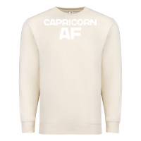 Sandshell capricorn af zodiac sign Premium Sweatshirt - artisFamous