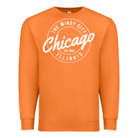 Carrot chicago Premium Sweatshirt - artisFamous