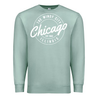 Seafoam chicago Premium Sweatshirt - artisFamous