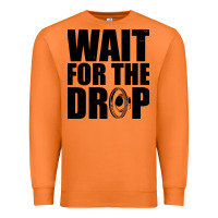 Carrot wait for the drop i dubstep bass subwoofer dance music Premium Sweatshirt - artisFamous