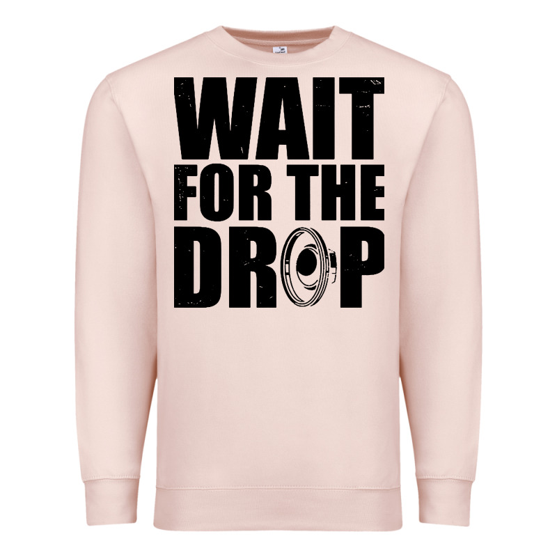 Wait For The Drop I Dubstep Bass Subwoofer Dance Music Premium Sweatshirt by artisFamous | Teevron